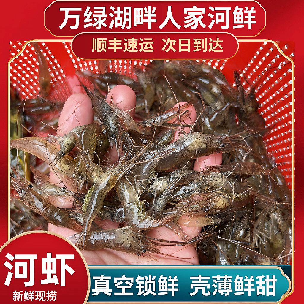 正宗小河虾小青虾醉虾现捕红虾湖虾新鲜水晶虾鲜甜小虾黑虾鲜活