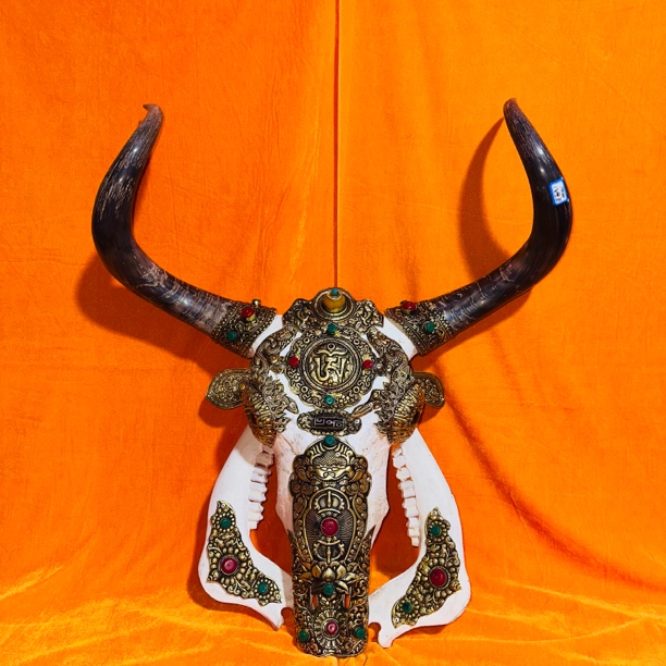 牛头骨工艺品墙挂装饰标本摆件创意家居装饰