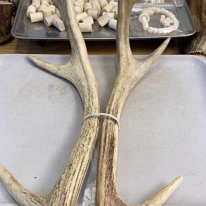 世***有中国大陆鹿角盘玩手把件