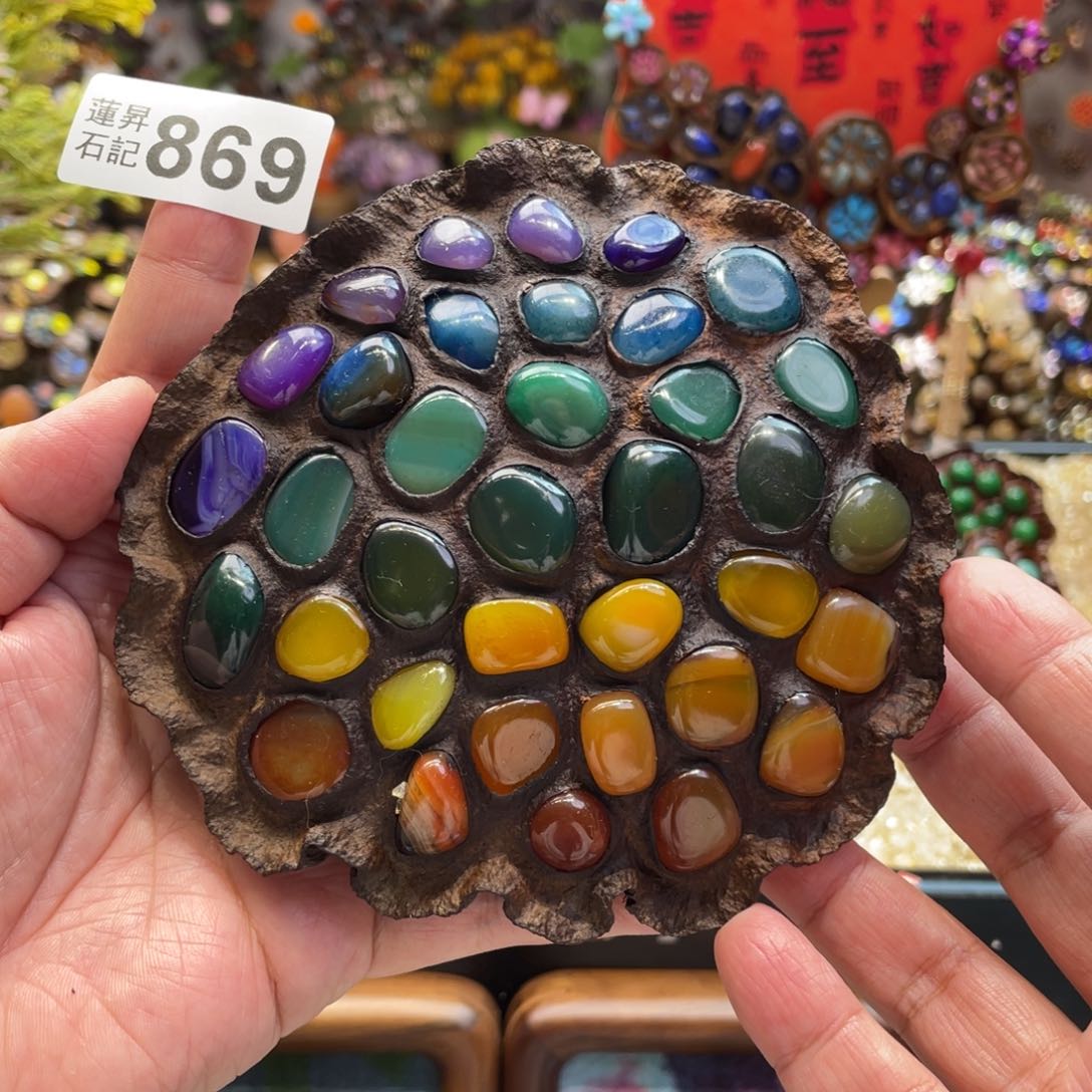 核桃木/黑胡桃（胡桃木）869