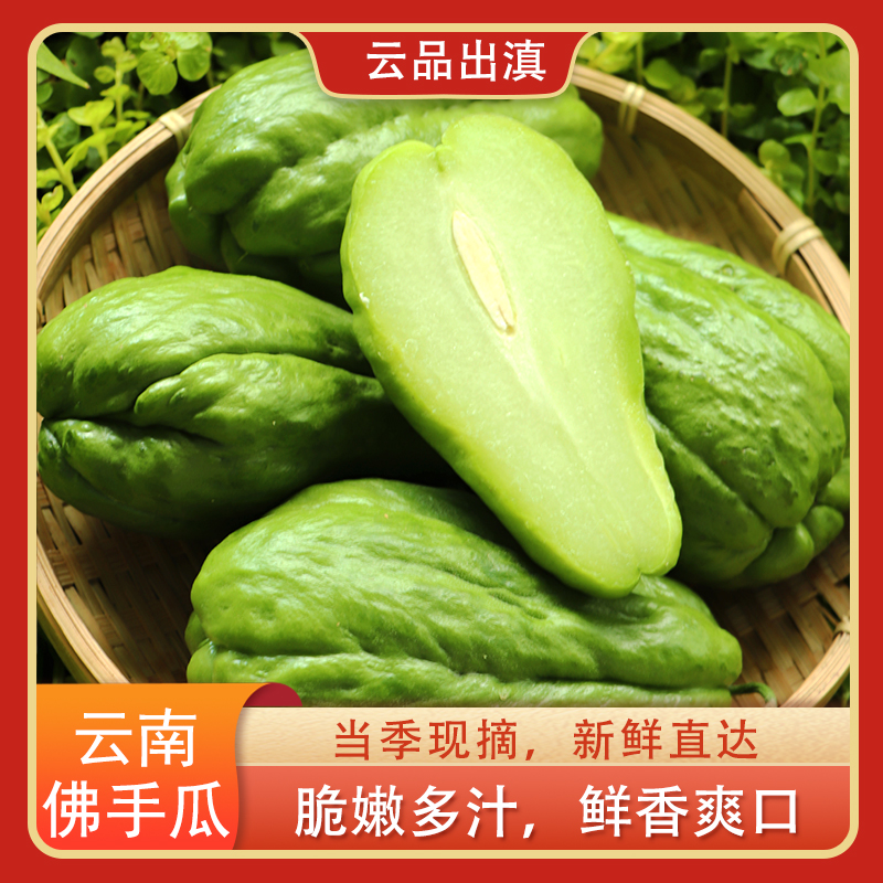云南佛手瓜新鲜嫩瓜肉质细嫩清甜营养丰富鲜香下饭当季新鲜蔬菜