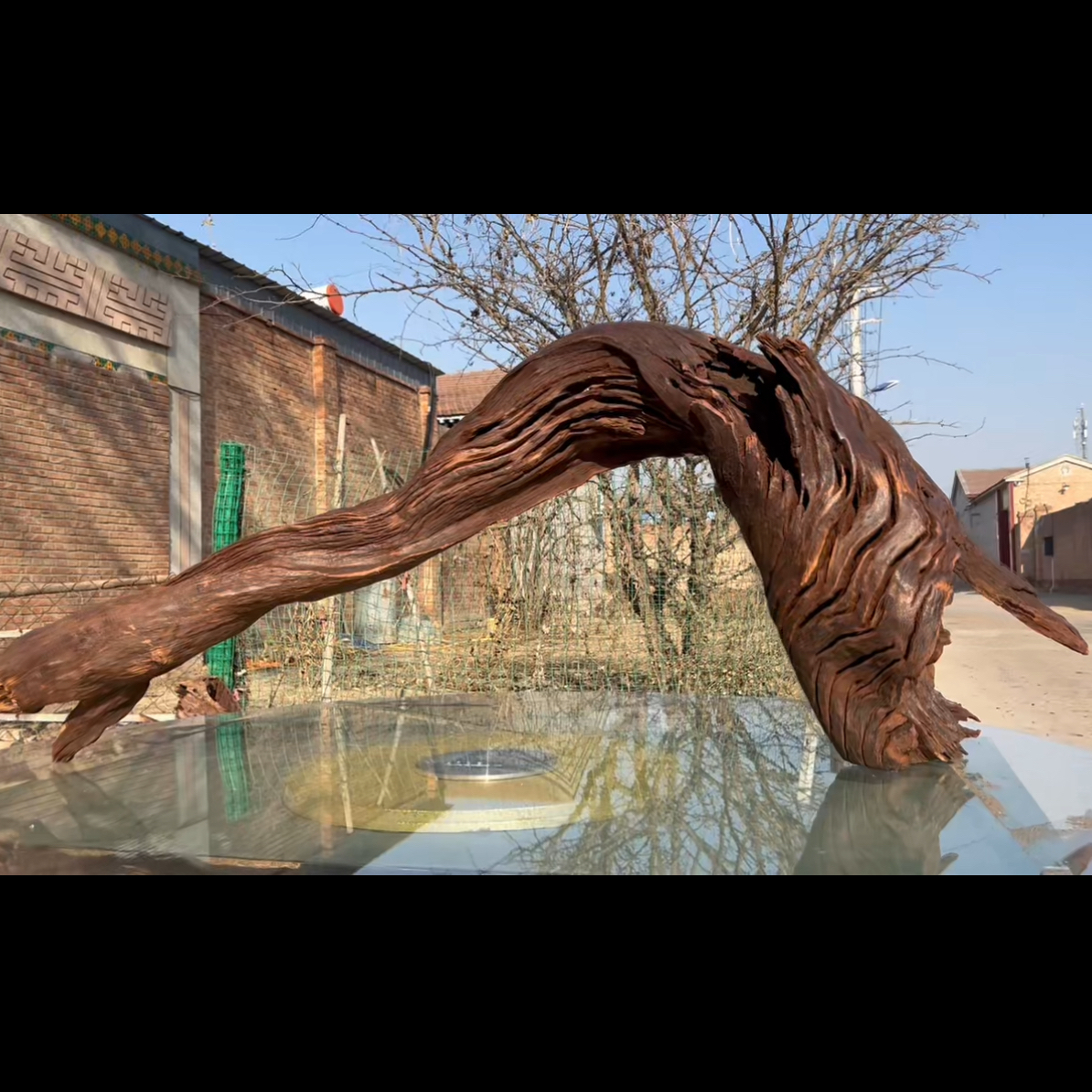 尺寸143×26×54 鱼缸造景沉木摆件，紫柚木，秒沉水，包煮，南美缸