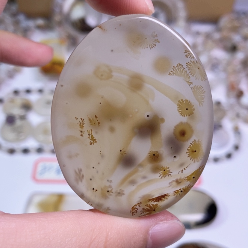 【闪购商品】玛瑙/玉髓颈饰未镶嵌