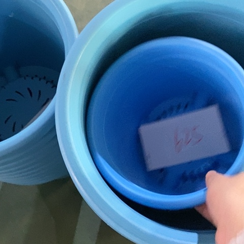 树脂难**醒编号625微瑕