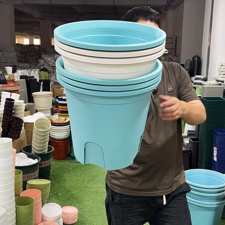 光****8光头粉专属6个圆控根口38