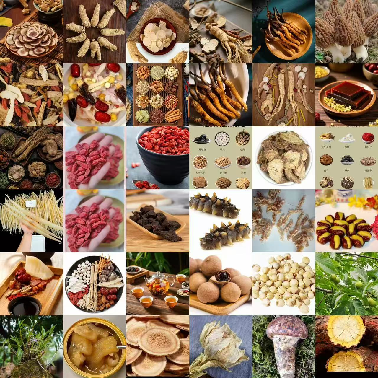 【腾菲】龙--尾--参--  云南大山特产--现收山货