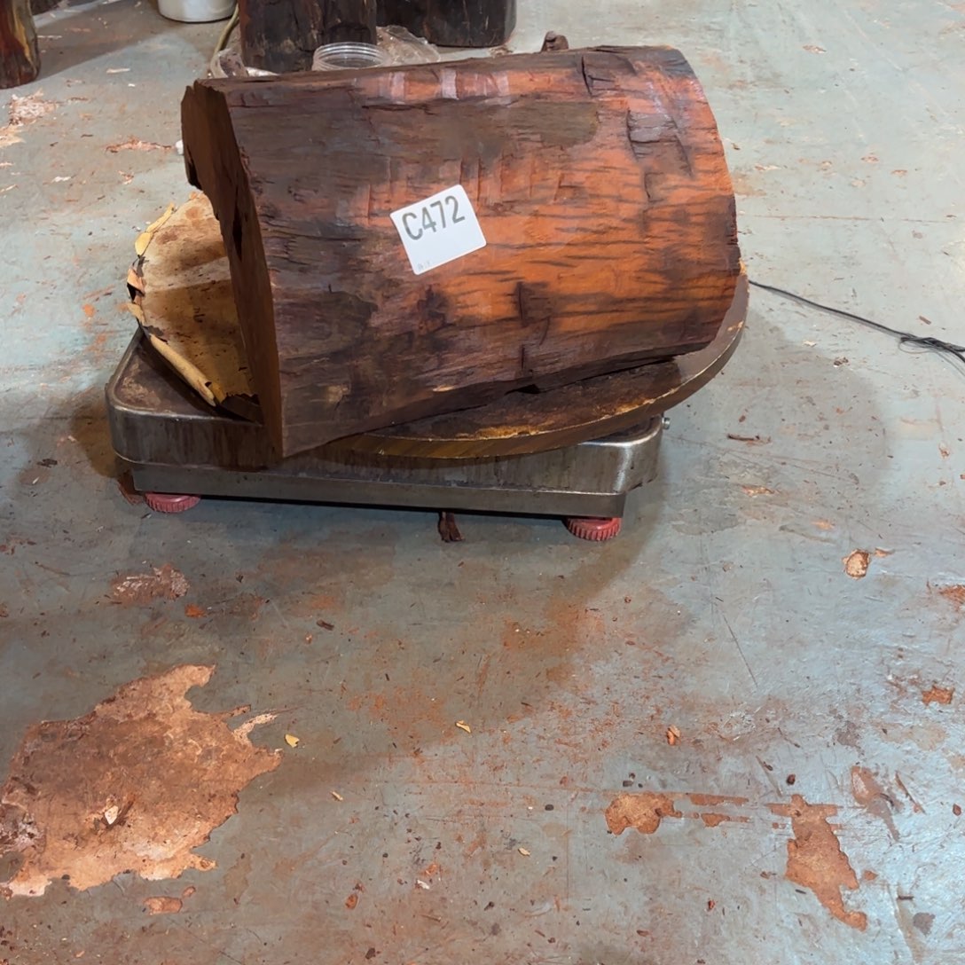 绿泥一物一拍血檀编码472