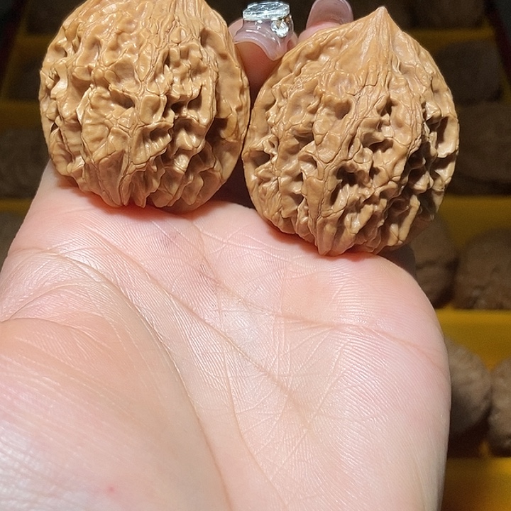 边38肚38全品通天八！好运连连