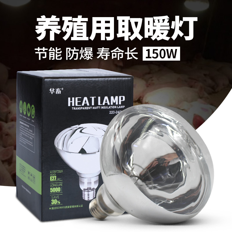【】透明保温灯麻面光面150w 250w华畜养殖取暖灯泡兽用加热灯Z