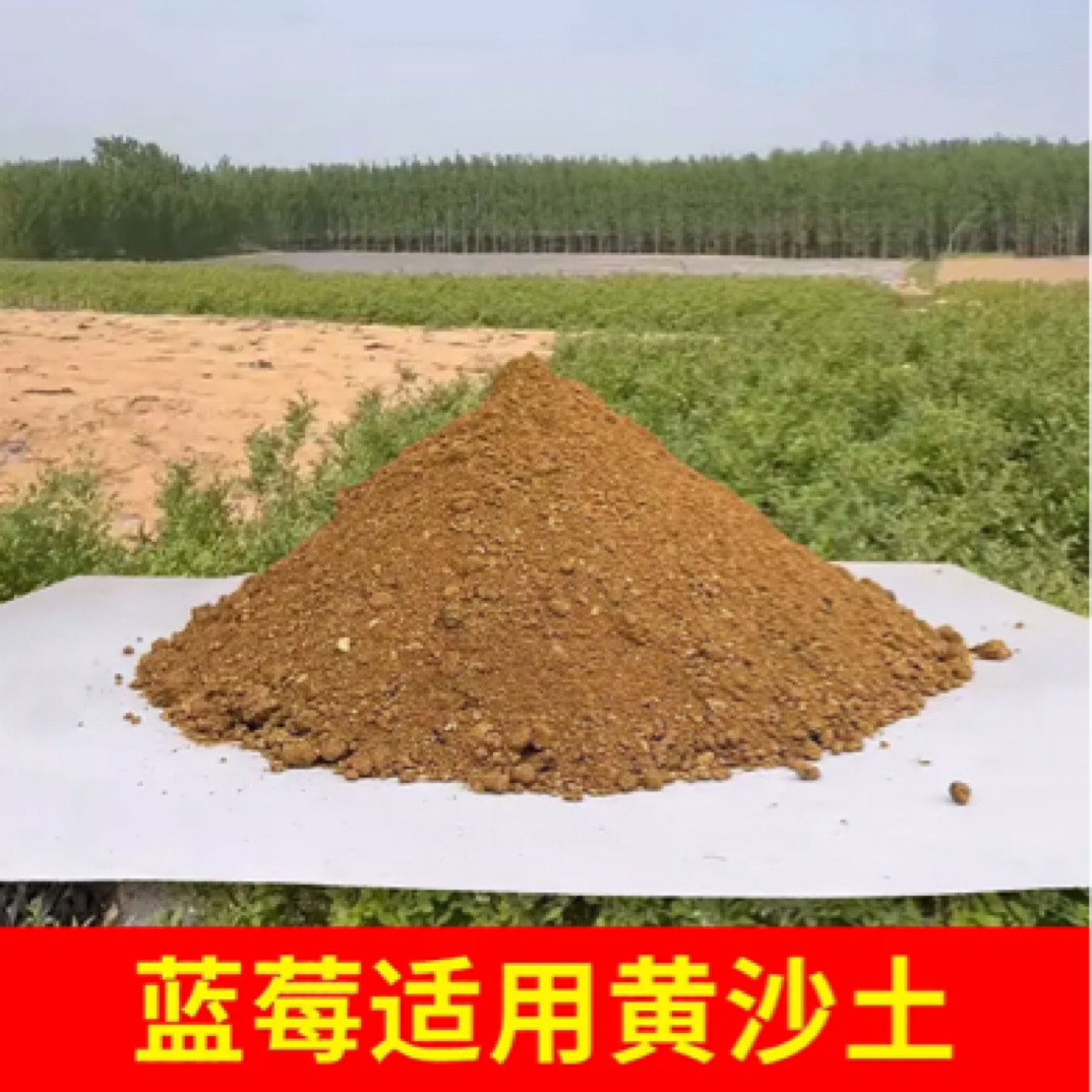 蓝莓果树苗专用土