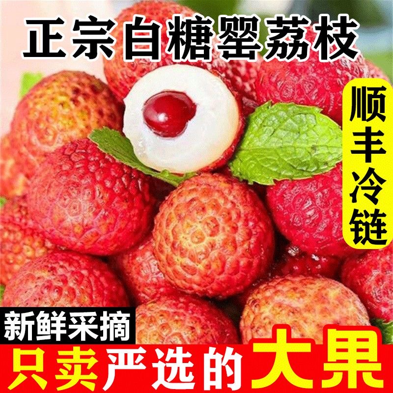 【京东顺丰冷链包邮】广西高州白糖罂荔枝新鲜现摘现发应季鲜果