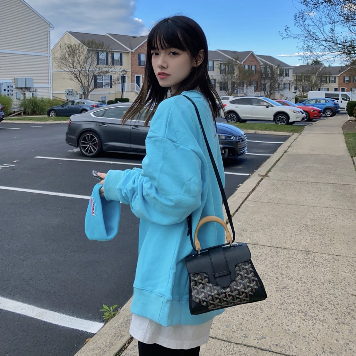 95新 Chanel/香奈儿 戈雅/单肩包/8649