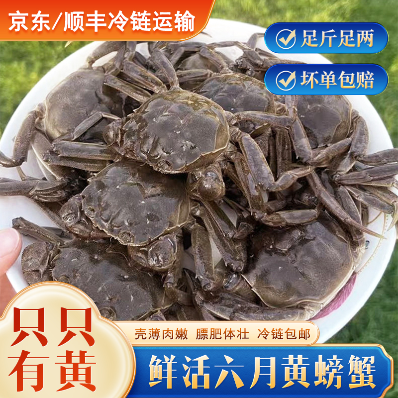 江苏本地精品公蟹10只送5只路损到手15只鲜活蟹青蟹青龙