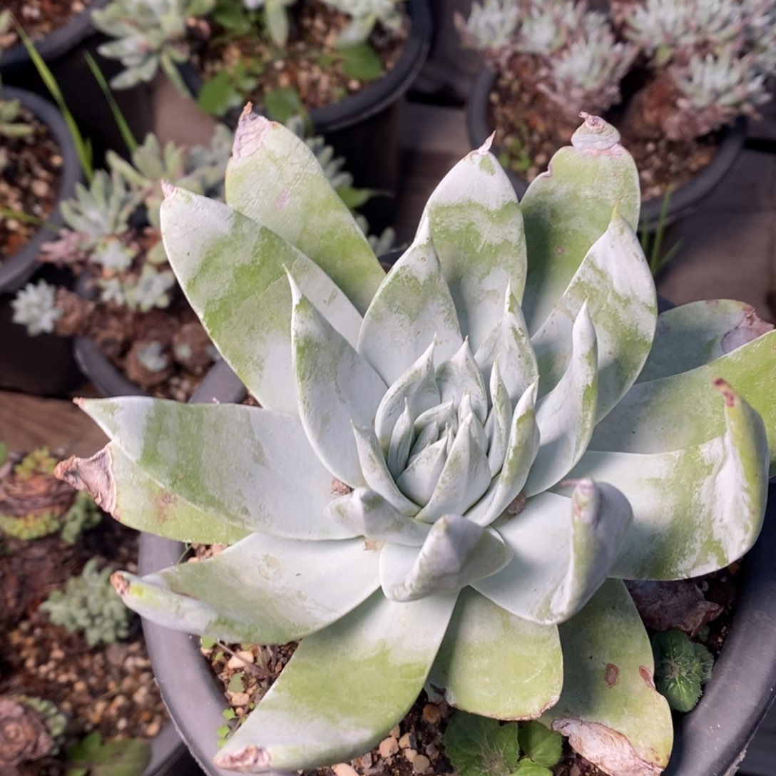 1921哈哈哈哈哈哈哈哈哈哈哈