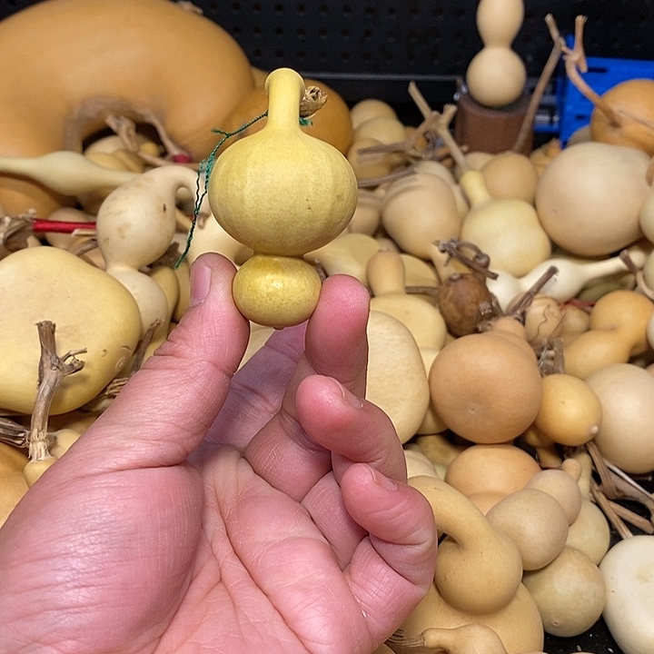 苍**雪精品葫芦手把葫芦77