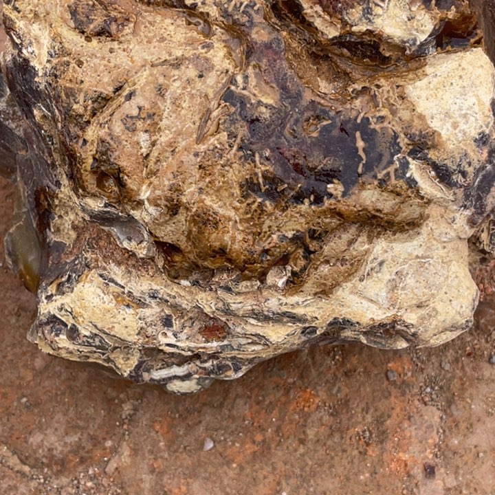 定制玛瑙蛋*饭好咯我组图