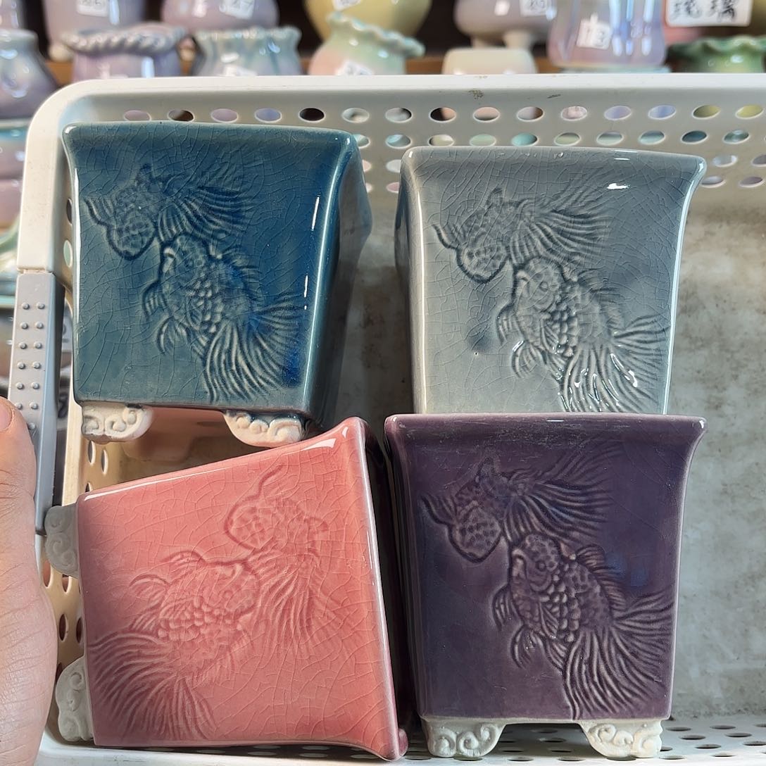 量货/口高深浅搭配发4