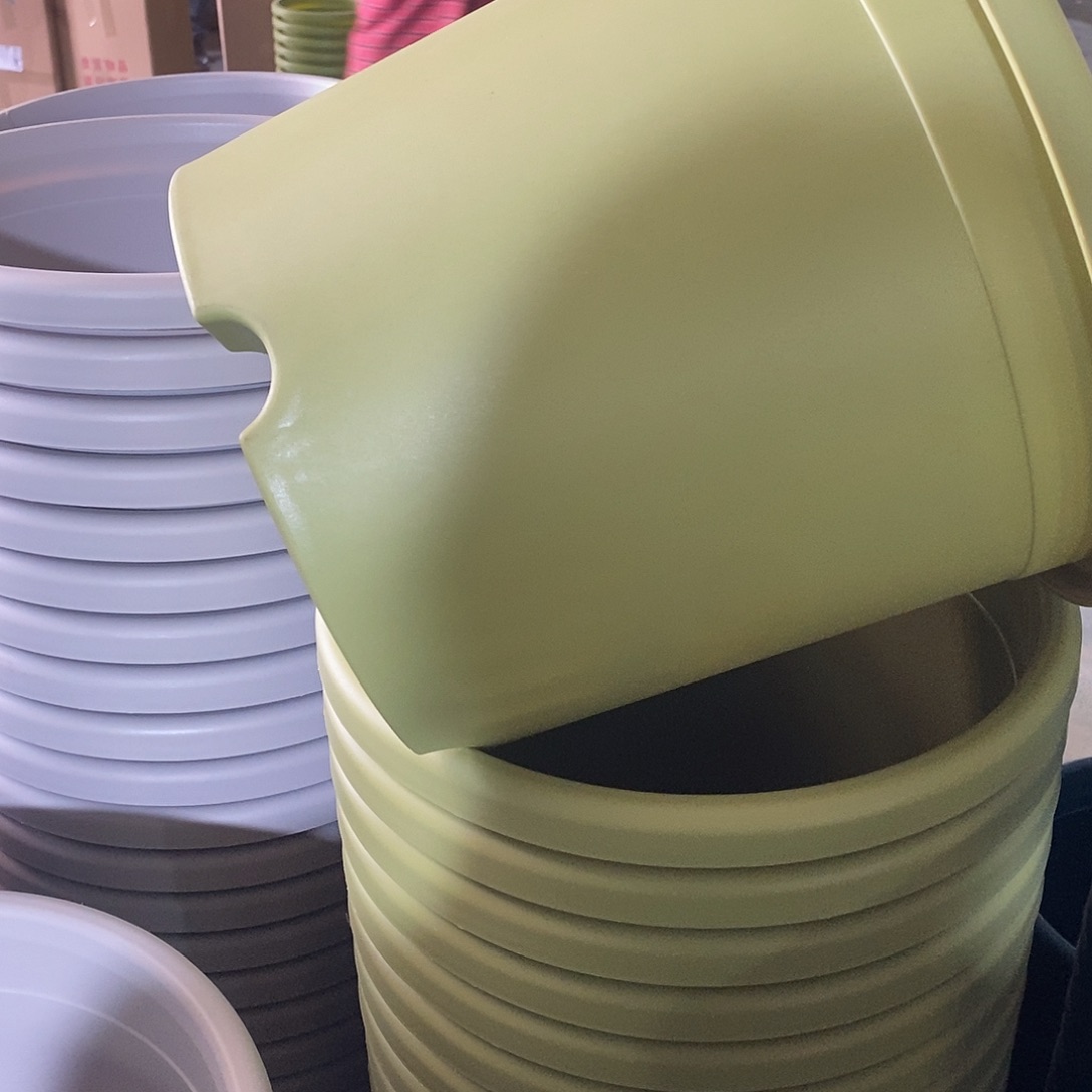 四季5号果绿色5个无拖