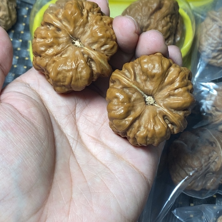 一***情文玩核桃把件蛤蟆43