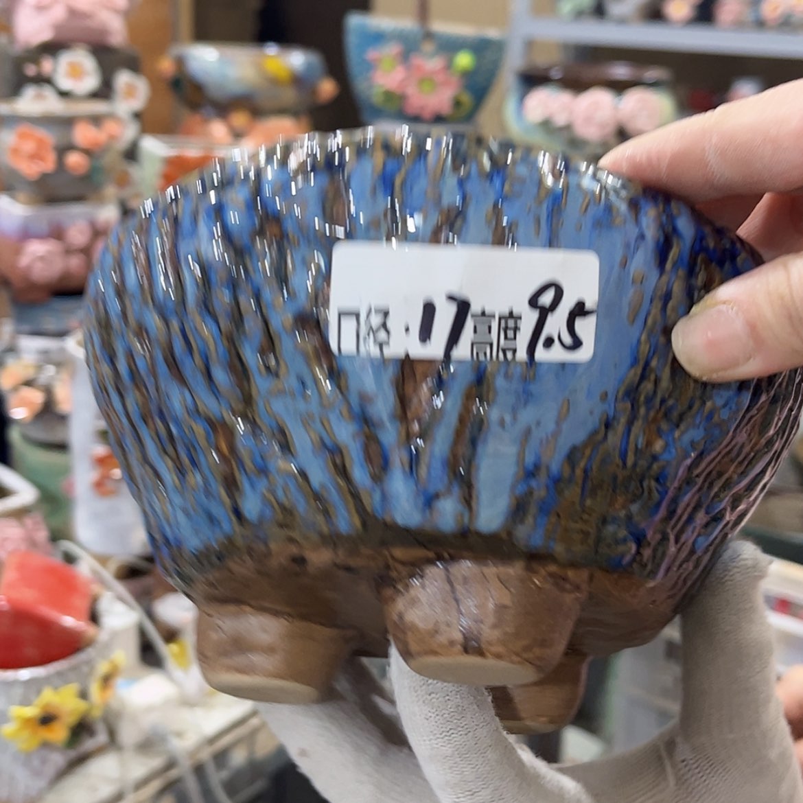 【闪购商品】红陶福利