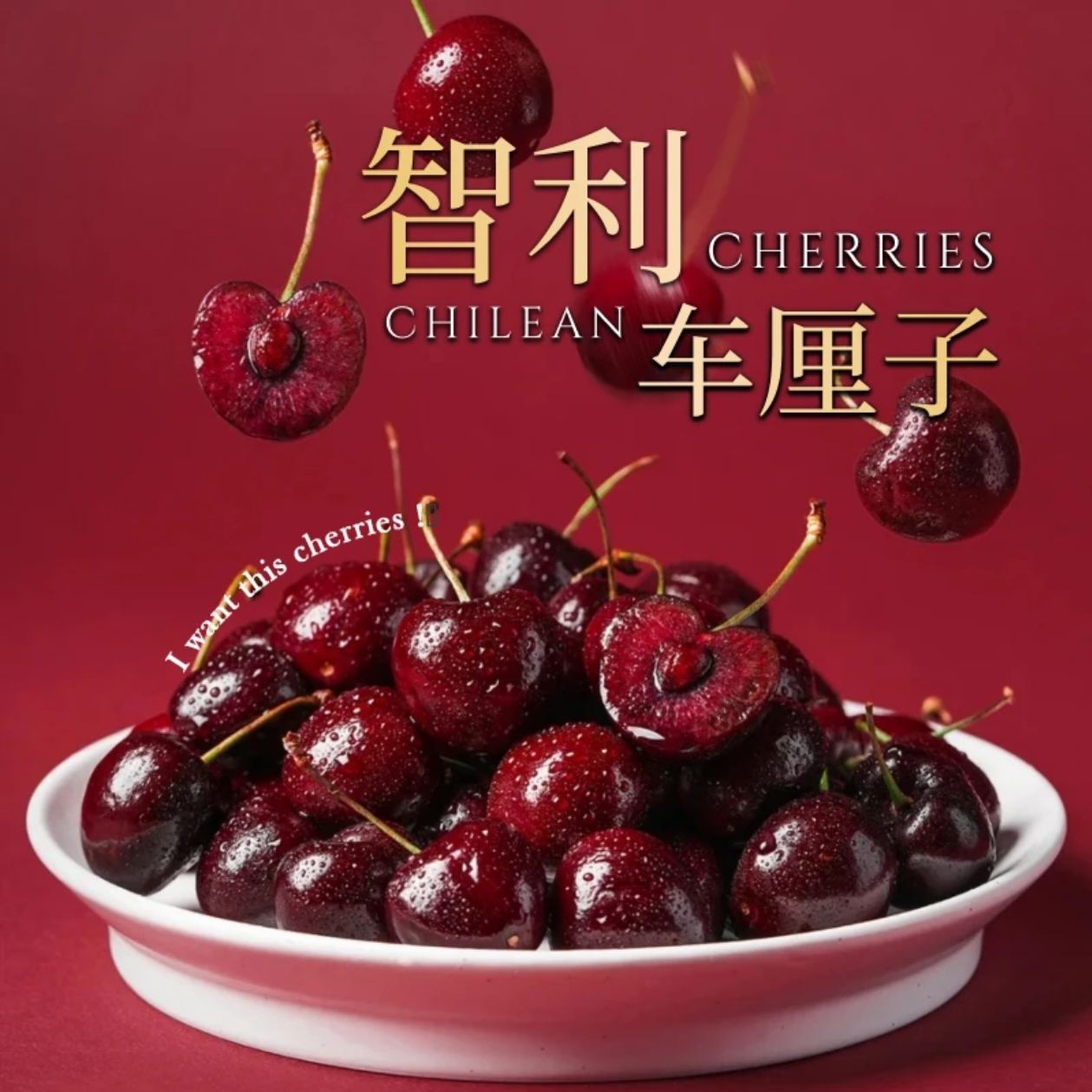 3-4JD【明天到】智利进口空运车厘子鲜水果头茬宝宝孕妇水果内附果径卡2500g桑提娜樱桃智利共和国