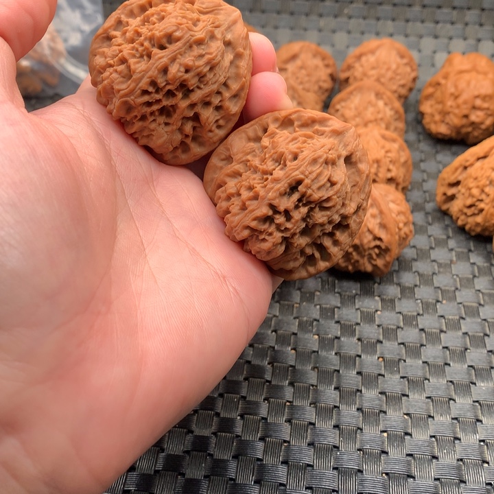 回***笑43南疆石（有隐黄）