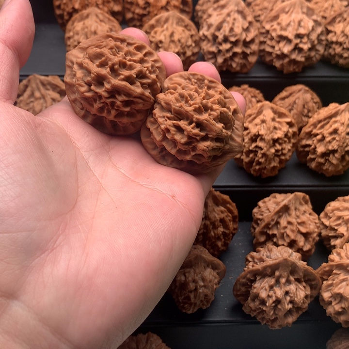 其他核桃嘭****亚秦岭官帽