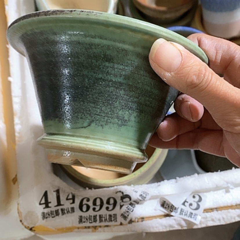 【闪购商品】红陶口10