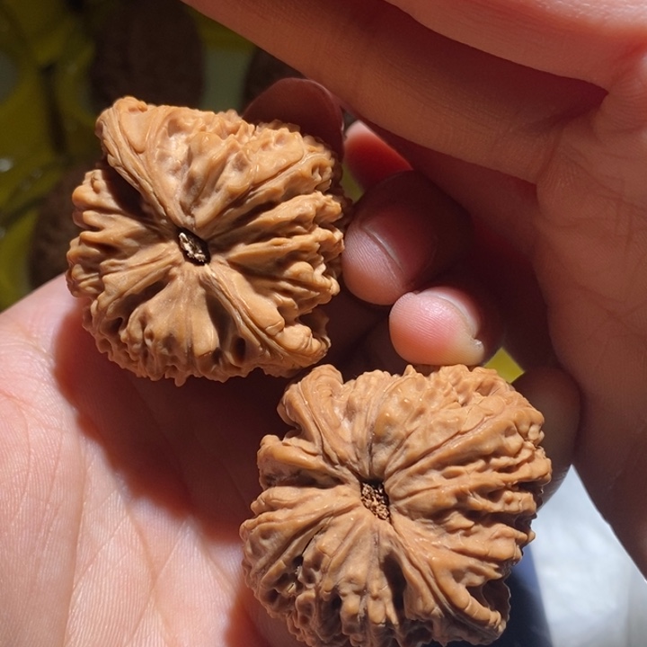 s***r吊坠文玩核桃精品课程等课程教学