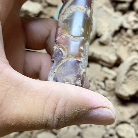 摆件瓷器紫砂壶摆件