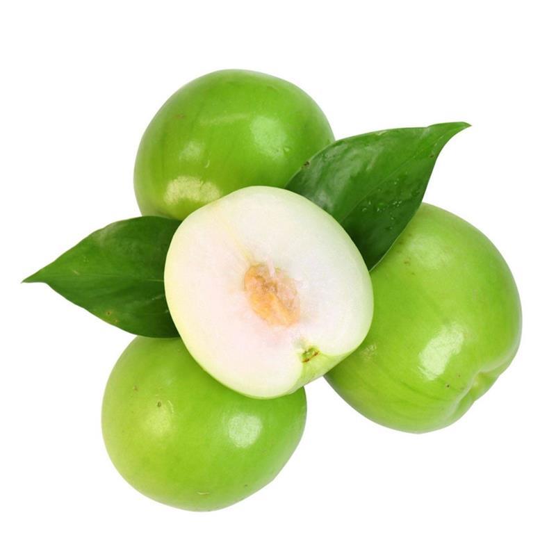 福建牛奶贵妃枣新鲜大青枣包邮当季冬枣脆甜水果苹果枣一件代发