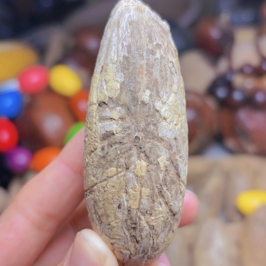 佛心果吊坠千眼手把