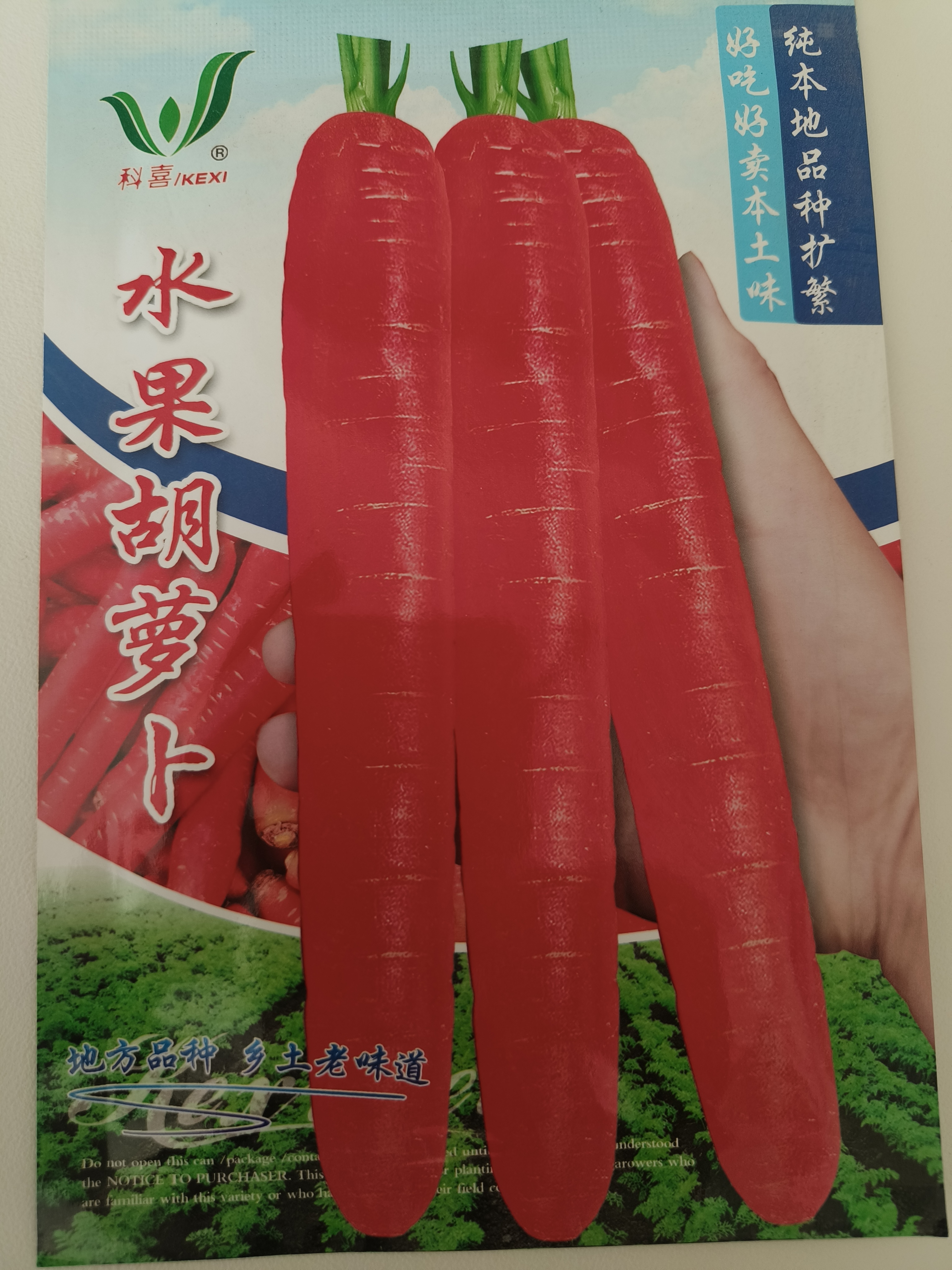 10g水果胡萝卜种子