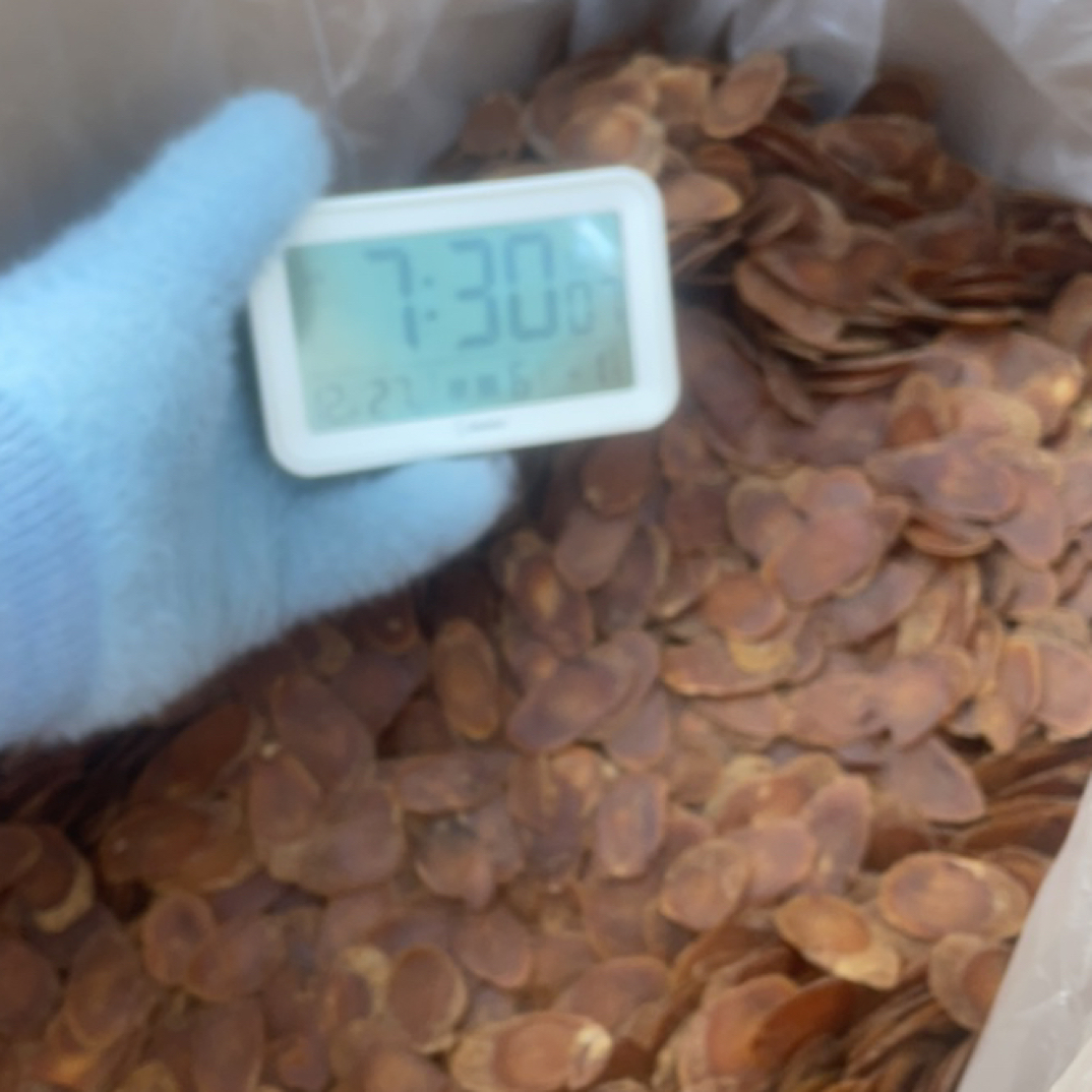 长白山特产红参片1