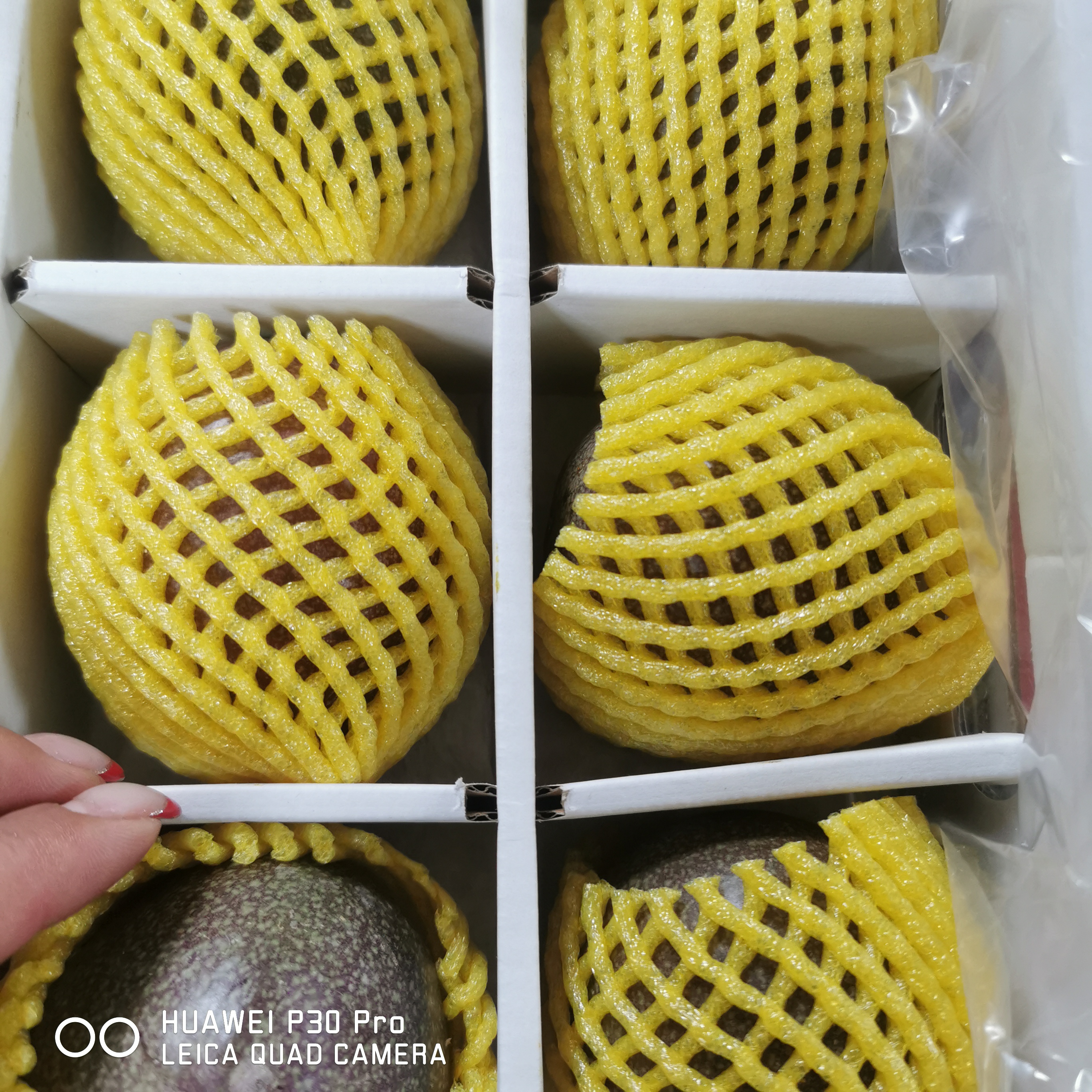 百香果 超大果 空运 产地海南4个