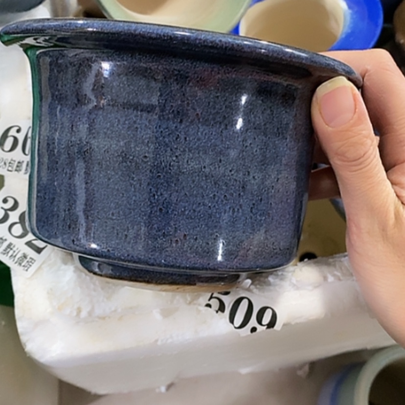 【闪购商品】红陶口12