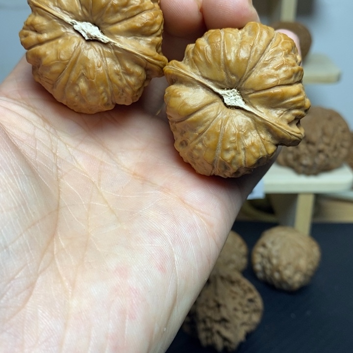 核桃44尺寸南瓜一对