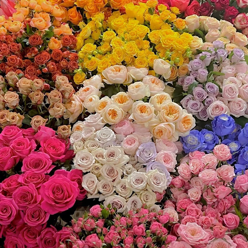 【爆款福利】爱莎+香槟+百合+多头巧克力+配草 云南直发 