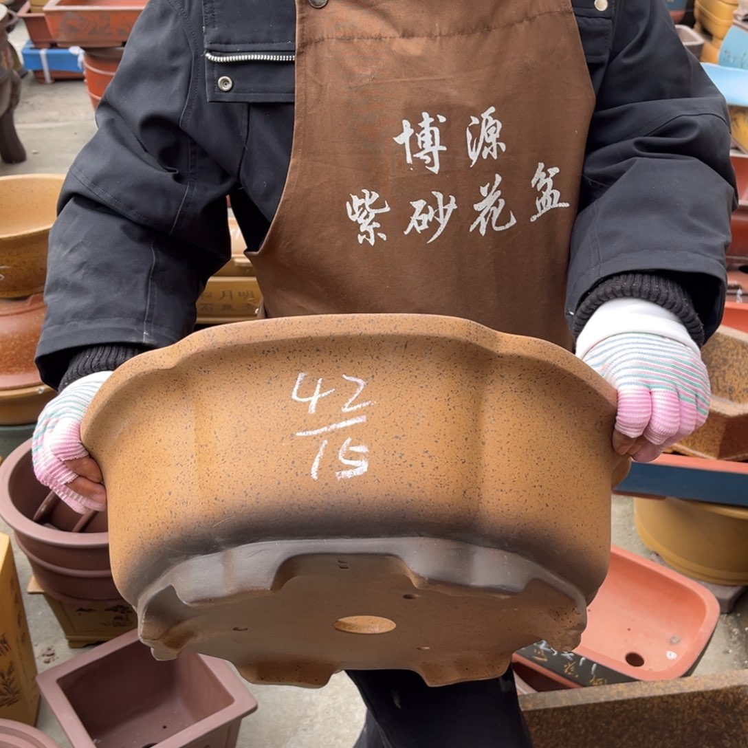 紫砂花盆盆景艺术