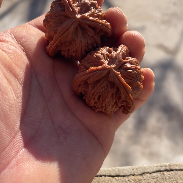 吊坠文玩核桃三棱三棱三棱三棱