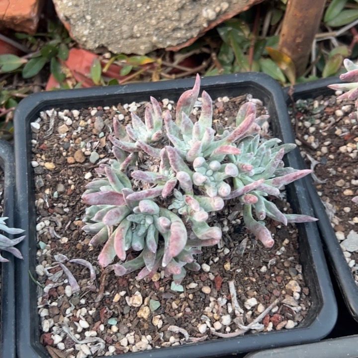 836哈哈哈哈哈哈哈哈哈