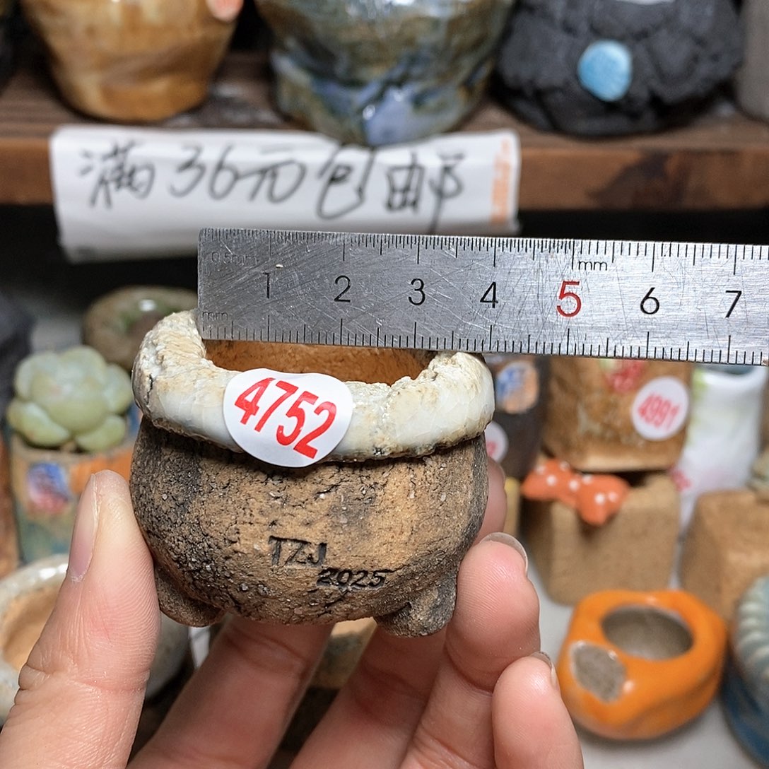 红陶拍5送一个小