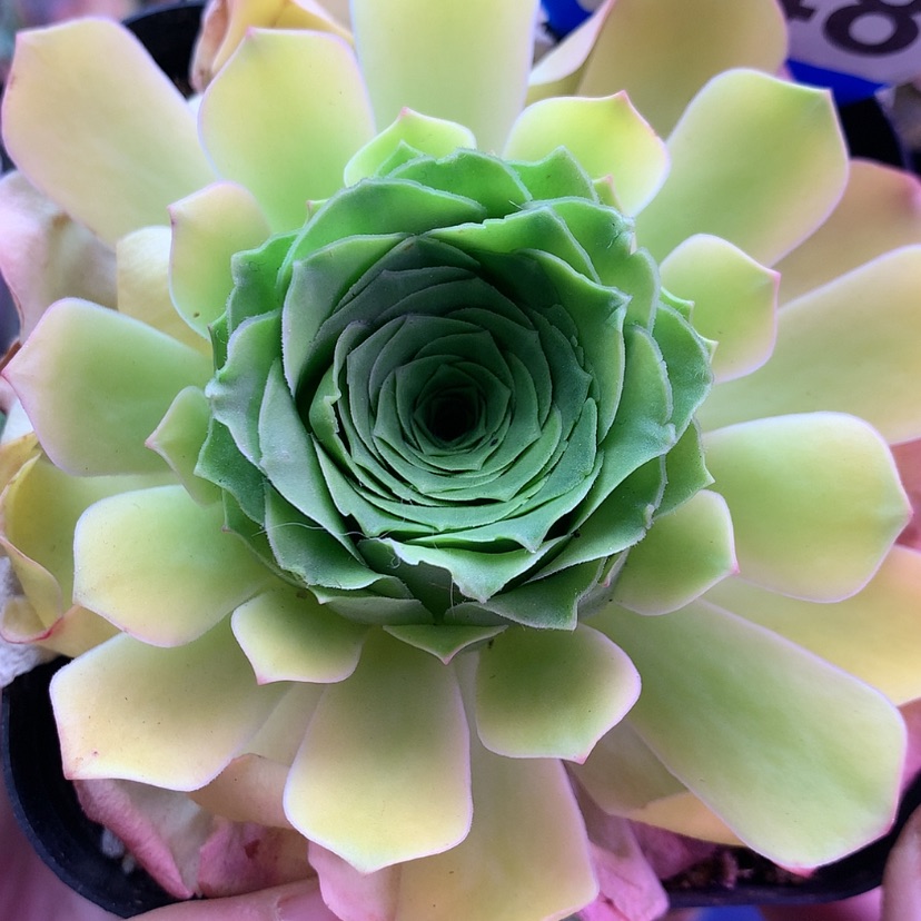 【闪购商品】福利348