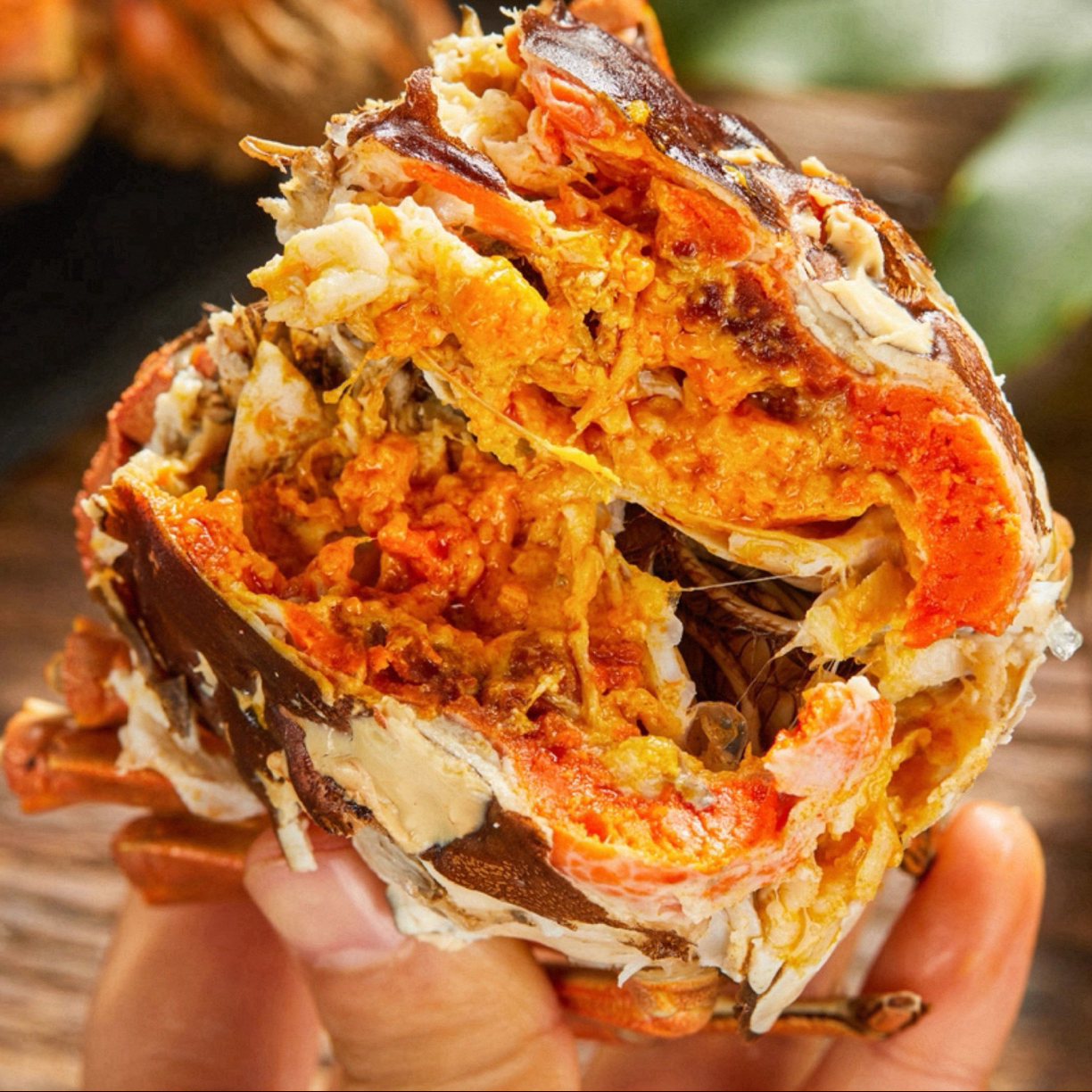 1【活蟹】苏州太湖精品大闸蟹母蟹2.2-2.5两加送2只8/10只装