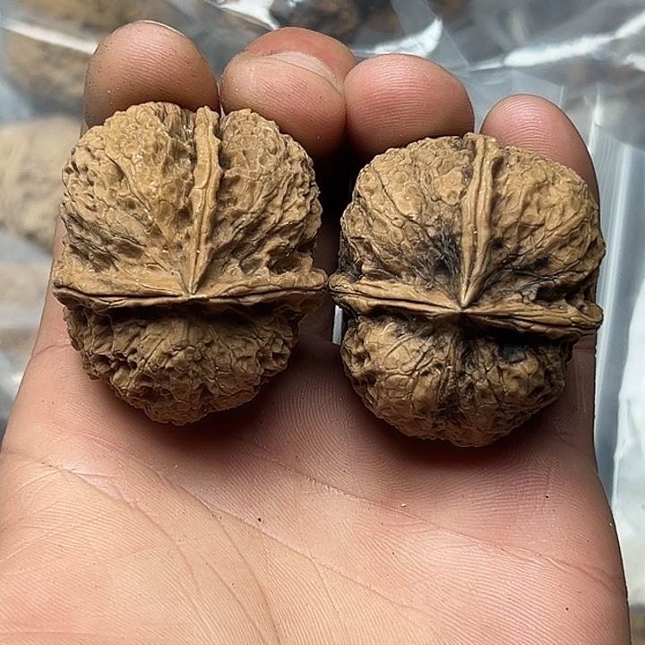 文玩核桃把件20号矮桩大三楞43尺