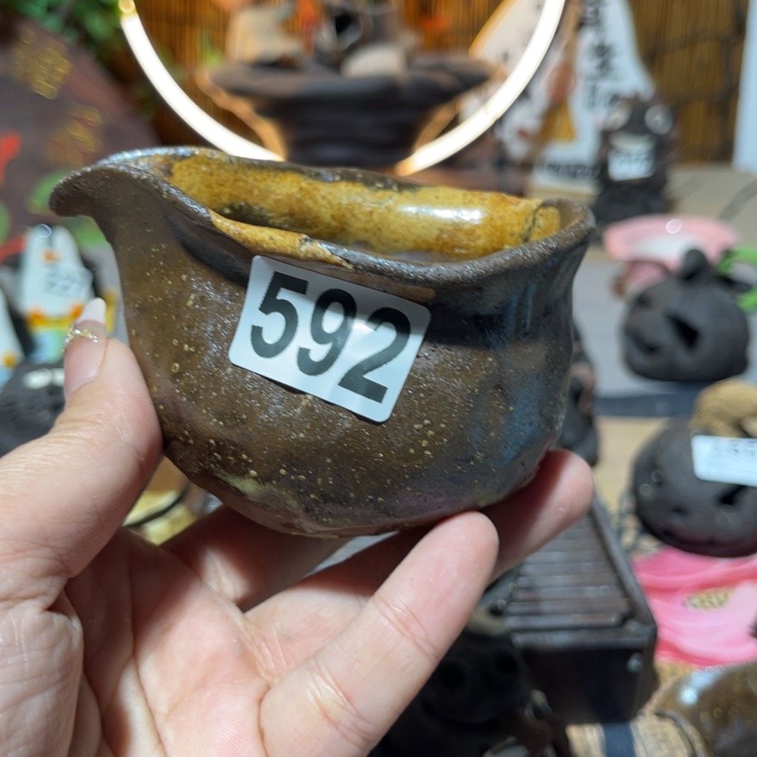 木村信弘柴烧保平