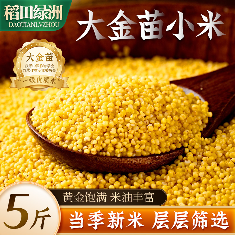 稻田绿洲金黄饱满米油醇厚软糯香甜的小米五谷杂粮早餐5斤辅食