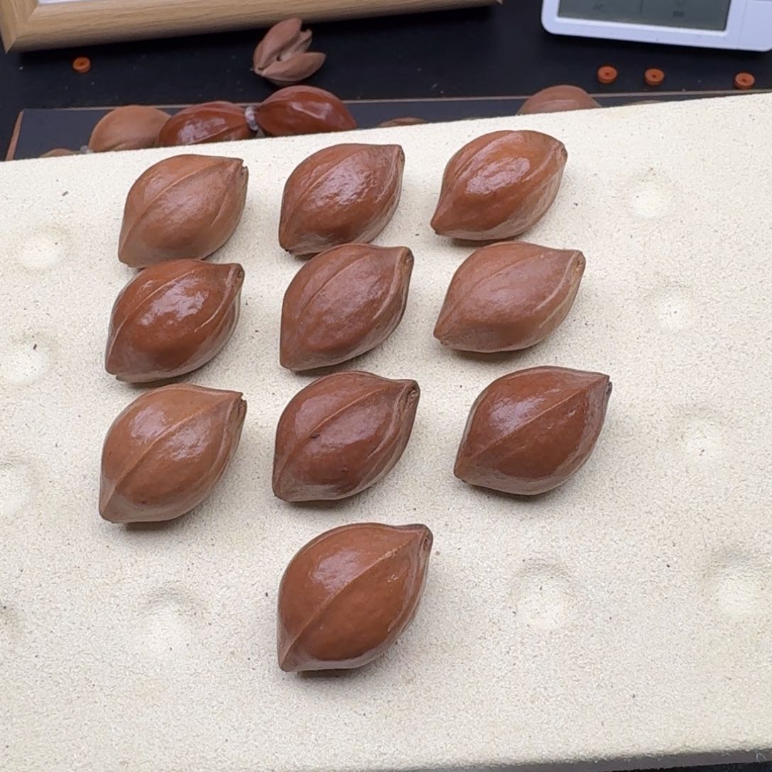 橄榄核16*25小尺寸头货梅林铁核