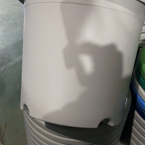 树脂四季5号微瑕灰白带托6套