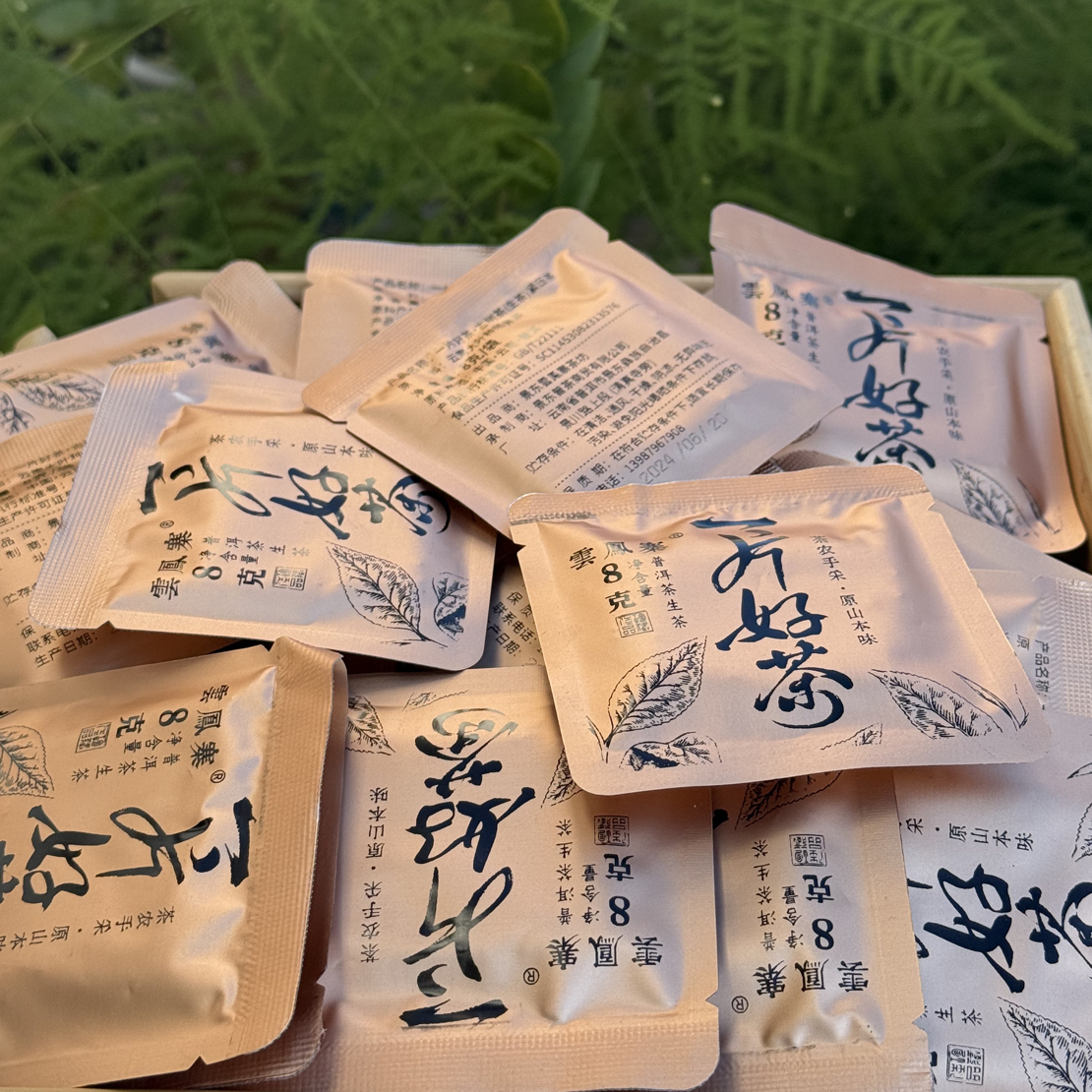 2024年（云鳳寨）无量凤冠山高山头春乔木8克小方片（生茶）紧压茶